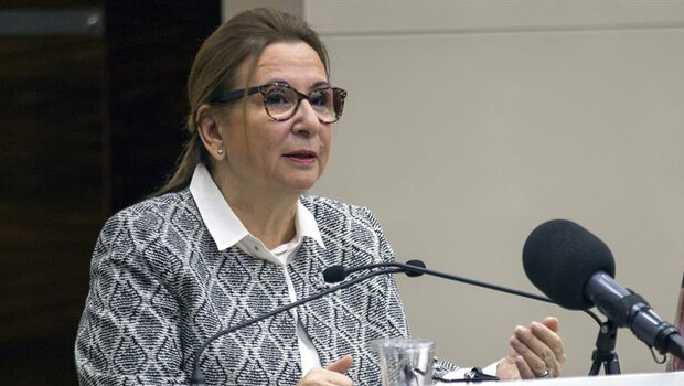 Bakan Pekcan'dan gümrük kapısı müjdesi