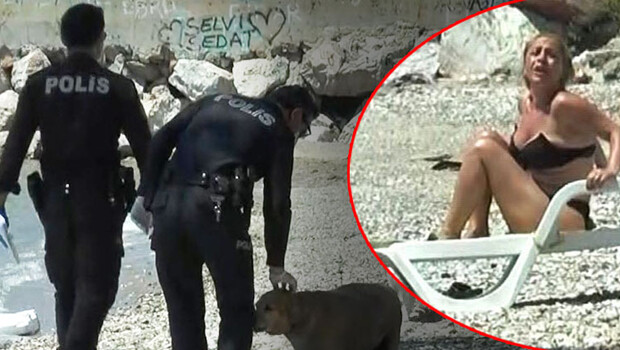 Polis ekipleri göz açtırmadı! Çok sayıda kişiye ceza kesildi
