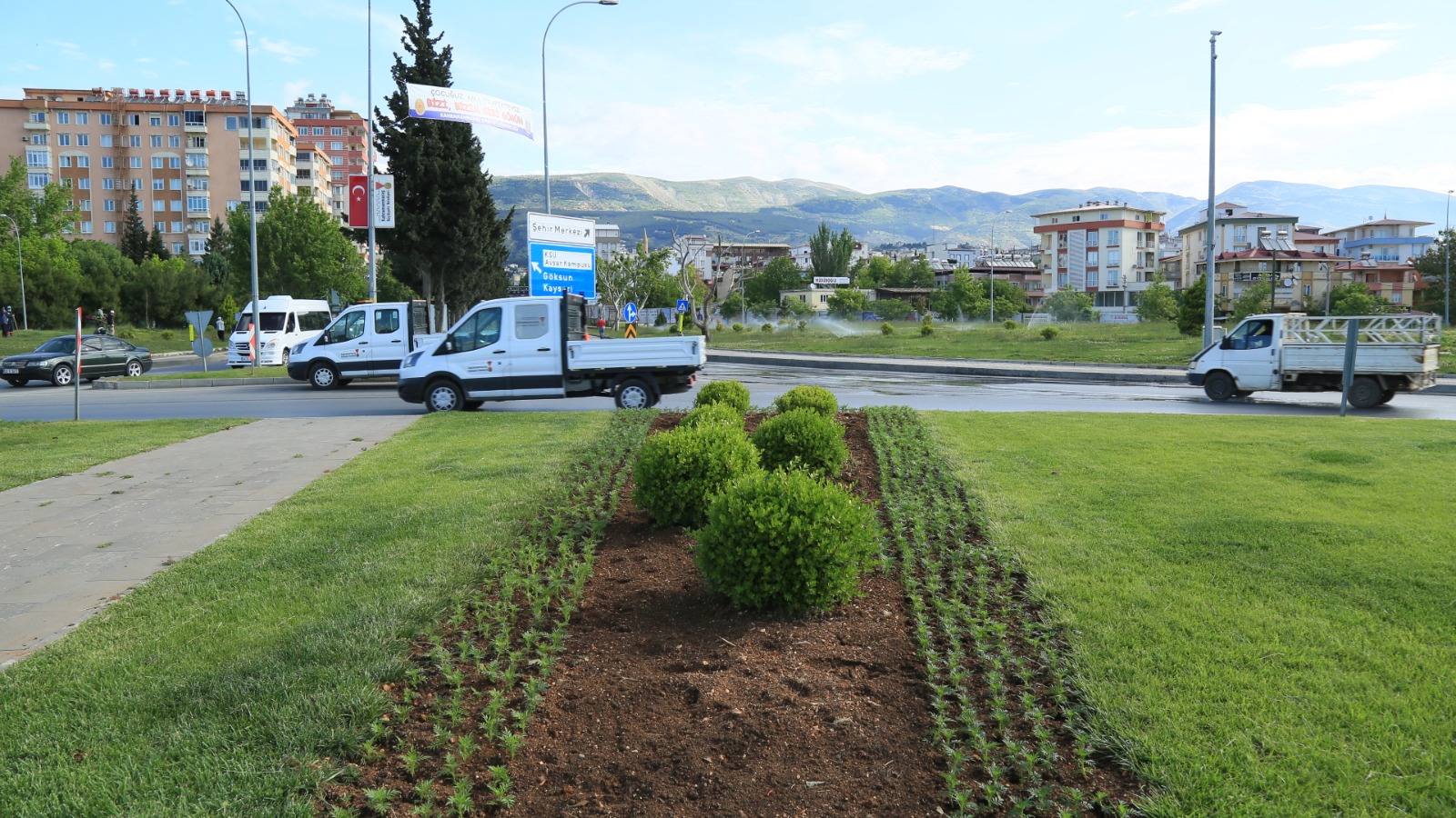 çiçek dikimi (8)