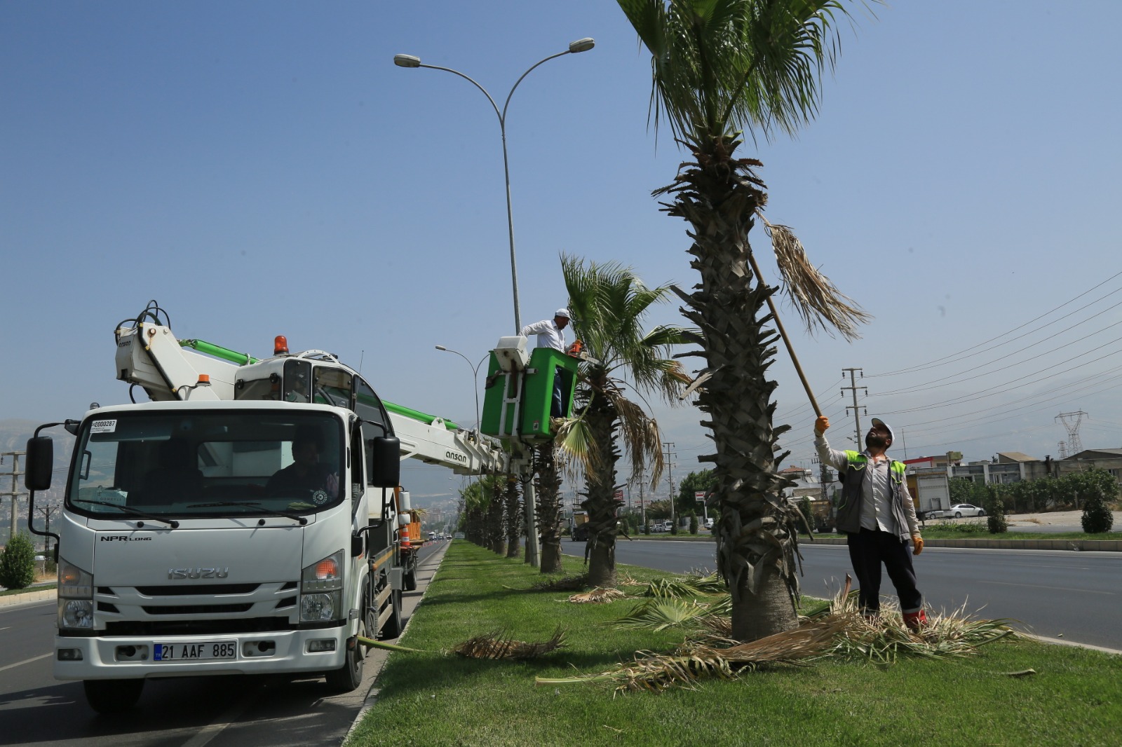Yesil Alan3