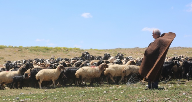 YÖRÜKLERDEN EKONOMİYE KATKI