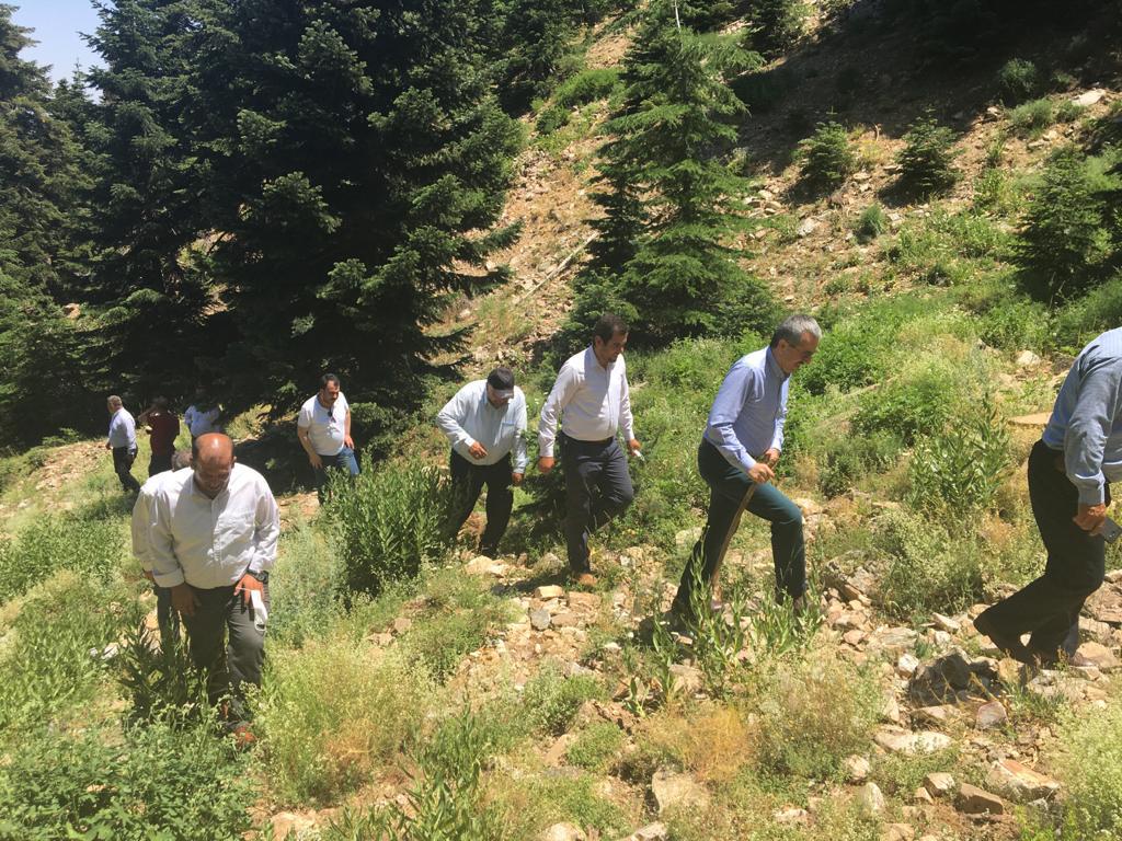 Yavşan Yaylası25