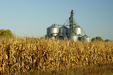 a grain elevator towers above a corn field in south dakota.