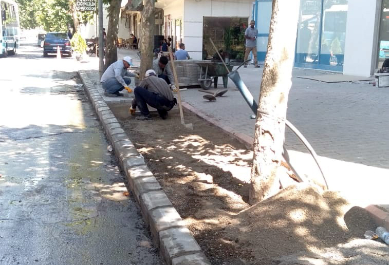 Şehit Evliya Mahallesi Şehit Çuhadar Ali Caddesi3