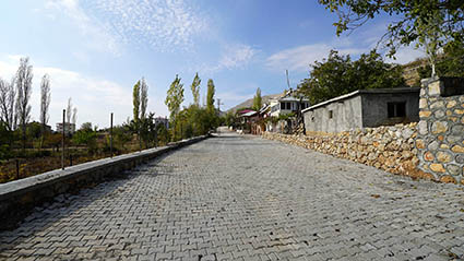 DSC07486