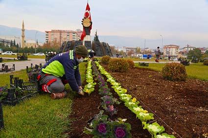 Çiçek Dikim (11)