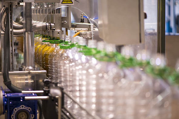 Olive oil factory, Olive Production