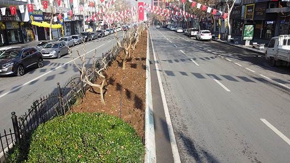 DCIM101MEDIADJI_0327.JPG