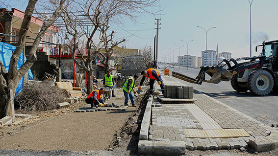 Av Mehmet Ali Kısakürek Bulvarı (7)