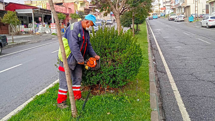 Vezir Hoca Bulvarı (1)