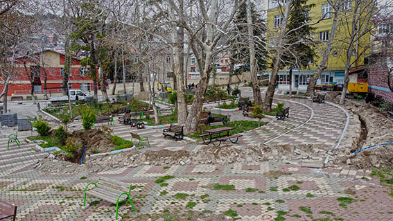 DCIM100MEDIADJI_0720.JPG