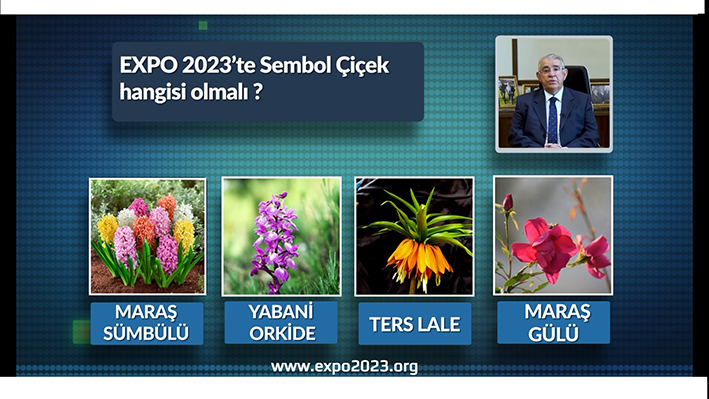 sembol çiçekler