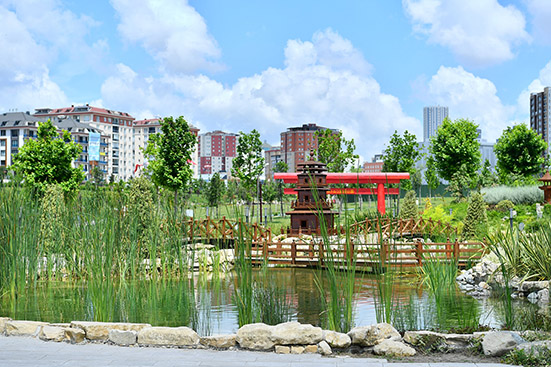 NESLİ TÜKENEN FIRAT KAPLUMBAĞASI BEYLİKDÜZÜ’NDE BULUNDU