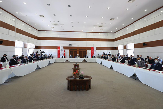 WhatsApp Image 2021-05-21 at 15.23.45-3