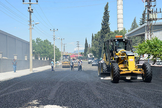 photo5859434938187757324