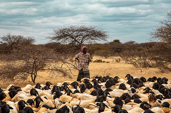 görseller (3)_135501521