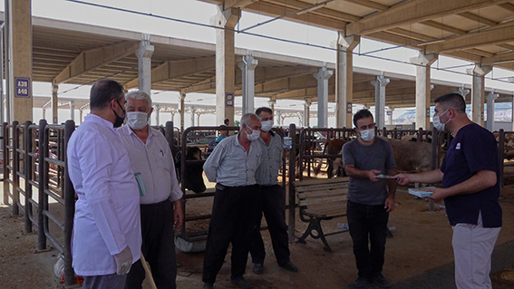 Canlı Hayvan Borsası (9)