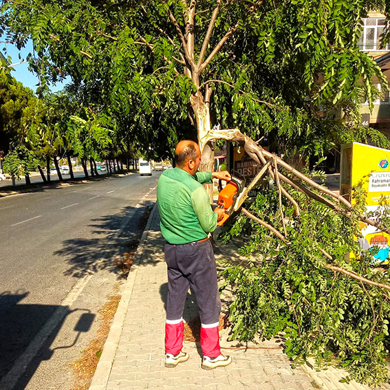 Şehir İçi Temizlik (13)