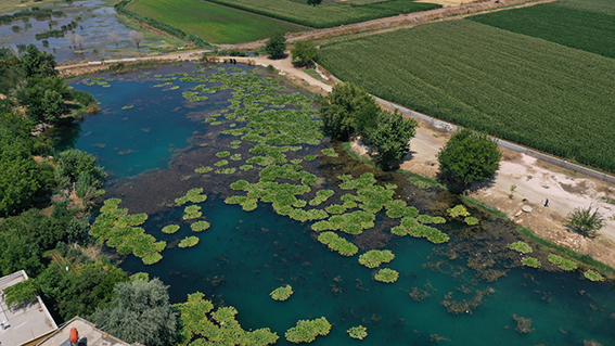 WhatsApp Image 2021-07-08 at 09.04.19