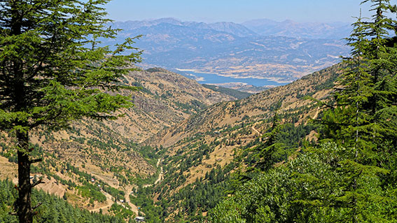 Yavşan Yaylası (5)