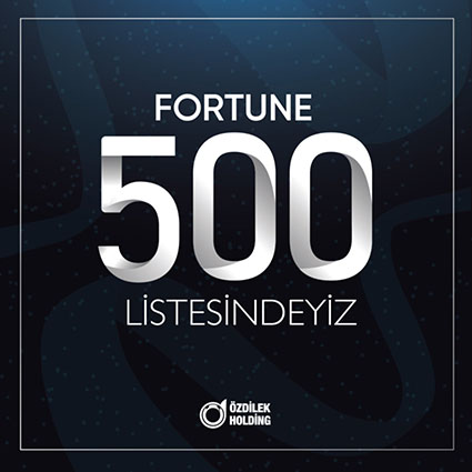 ozdilek_fortune_500