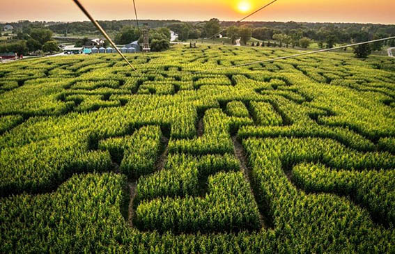 Mısır_Labirenti_örnek_2