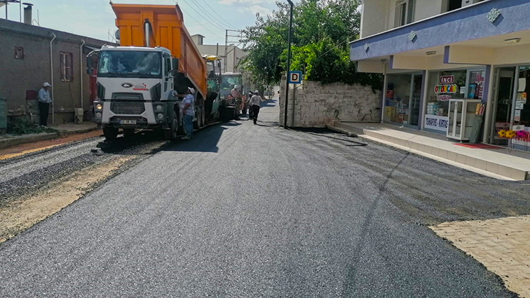 Pazarcık Bağdınısağır (2)