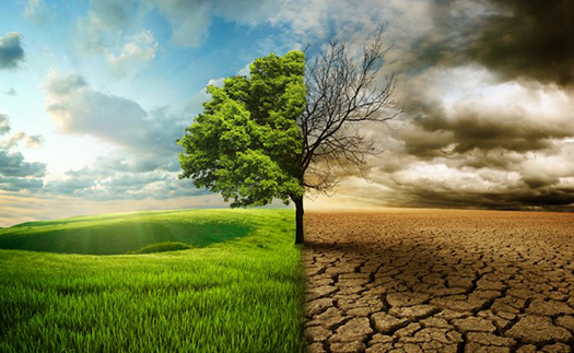 İklim Krizi Görsel 2_084612806