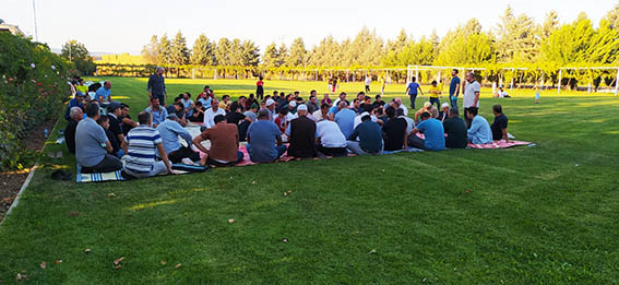 d021ecac-82e3-4590-8c43-c96d64464978