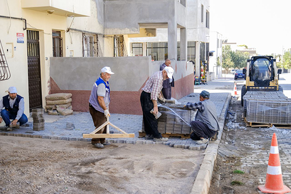 photo6001353864672032046