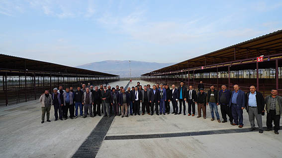 Hayvan borsası kura çekimi foto 19.11.2021196