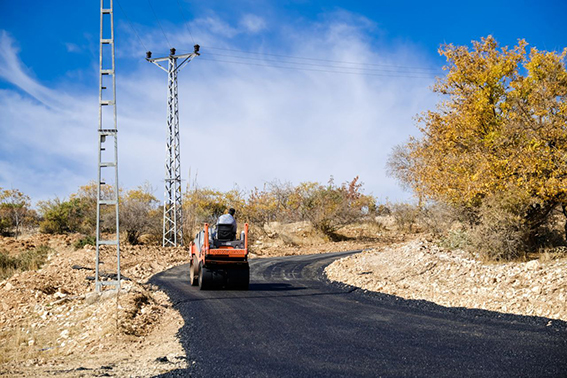 photo5784926373817727520