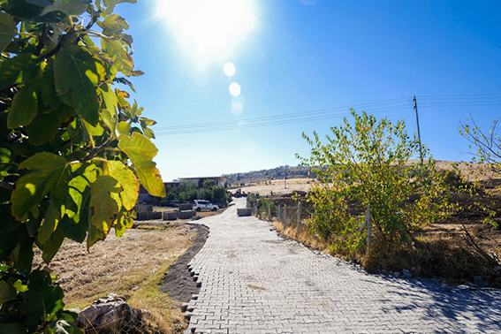 photo6037339278226339994