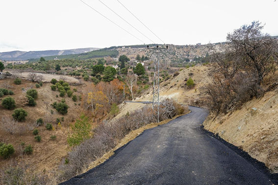 photo5890967991074535897