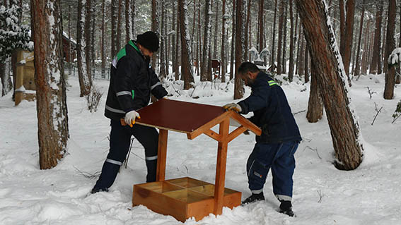 Beslenme Üniteleri & Kedi Evleri (4)