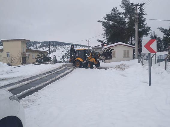 WhatsApp Image 2022-01-26 at 13.12.37