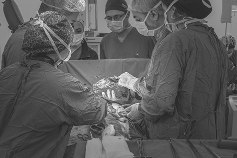 DEV TÜMÖRDEN TÜRKİYE’DE KURTULDU!