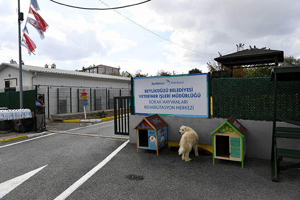 PATİLİ DOSTLAR BEYLİKDÜZÜ BELEDİYESİ’NE EMANET (2)