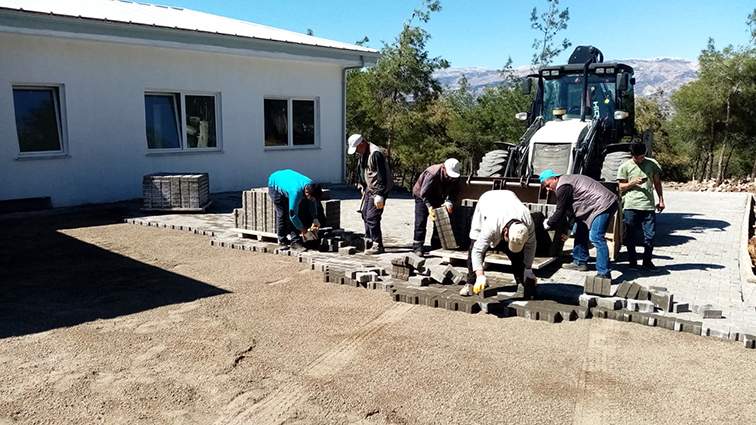 Hayvan Barınağı (1)