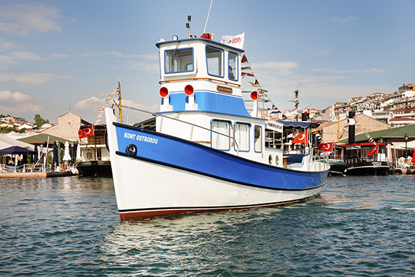 KontOstrorog HalicTuru_102837693