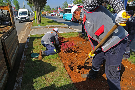 Peyzaj uygulamaları (3)