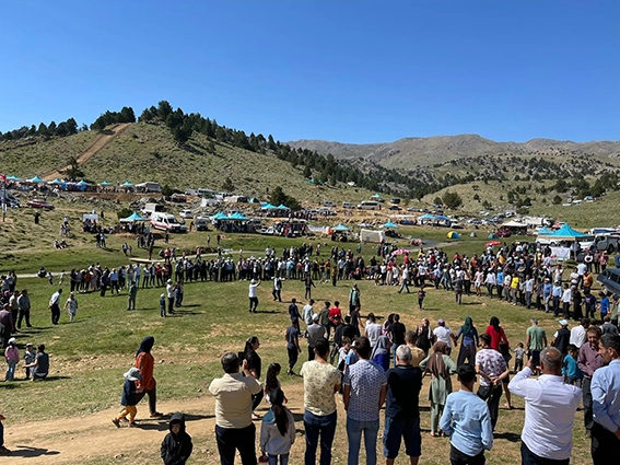 407478D4-B089-4027-A3A6-7B206E2761D2