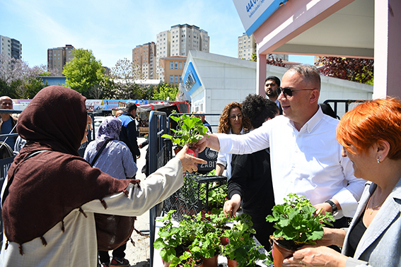 Beylikdüzü Belediyesi Çiçek Dağıtımı (2)