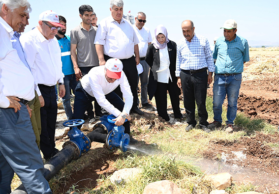 Pazarcık Akçakoyunlu (6)