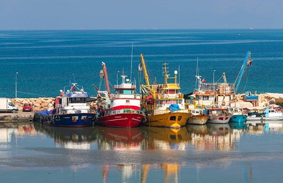 WhatsApp Image 2022-06-02 at 16.09.17_104902941