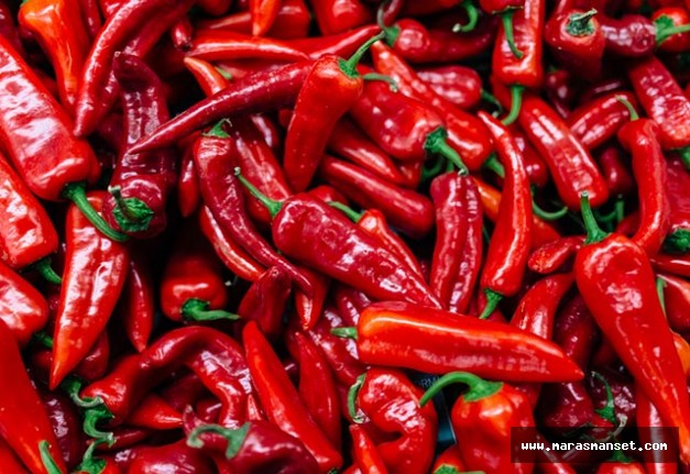 maras_biberi_dunyada_soz_sahibi_olmaya_hazirlaniyor_h26501_26651