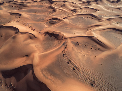 Nomad - Bachir Moukarzel (Kayıp Manzaralar)_