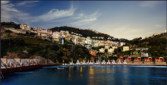 Screen Shot 2022-07-22 at 11.57.19