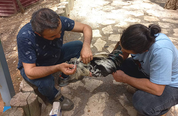 56a0636f-8b32-41e9-b772-7c58f06eb45d