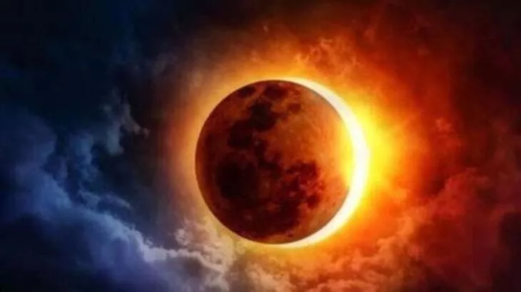 63539f451e77c4ce324c6113